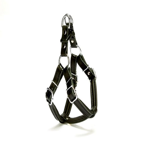 Picture of Doggie Ronin Model Comfort Deri Göğüs Tasması Siyah XS