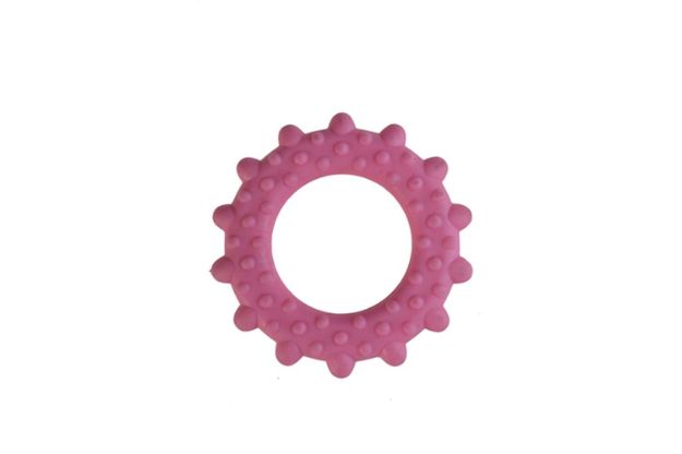 Picture of Zampa Köpekler İçin Çember Oyuncak, 8.5cm