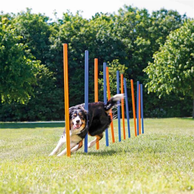Picture of Trixie Köpek Agility Eğitim Direkleri 12 Adet 115 cm x 3 cm