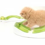 Picture of Hagen Catit Super Circuit Kedi Oyuncağı