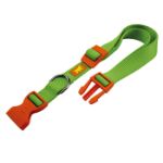 Picture of Ferplast Club C10/32 Köpek Boyun Tasması