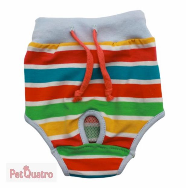 Picture of Pawstar Striped Underwear No 2 23062-2