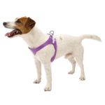 Picture of Ferplast Ergoflex Köpek Göğüs Tasması Small Mor