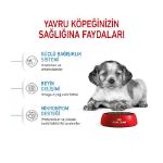 Picture of Royal Canin Medium Junior Orta Irk Yavru Köpek Maması 15 Kg