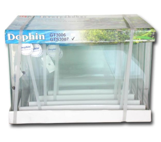 Picture of Dophin Bombeli Akvaryum 5 Boy No:4 200-GTS3007