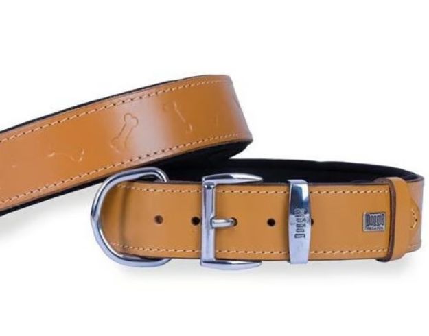 Picture of Konfor Deri Kemik Desenli Boyun Tasması Kamel 4x47-55cm Sbt4035scamel
