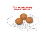 Picture of Royal Canin X-Small Küçük Irk Yetişkin Köpek Maması 1.5Kg
