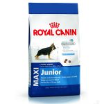 Picture of Royal Canin Maxi Junior Büyük Irk Yavru Köpek Maması 15Kg
