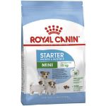 Picture of Royal Canin Mini Starter Küçük Irk Yavru Köpek Maması 3Kg