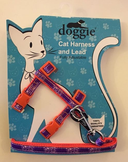 Picture of Doggie Etiketli Dokuma Kedi Göğüs Gezdirme Takımı No:1 Turuncu