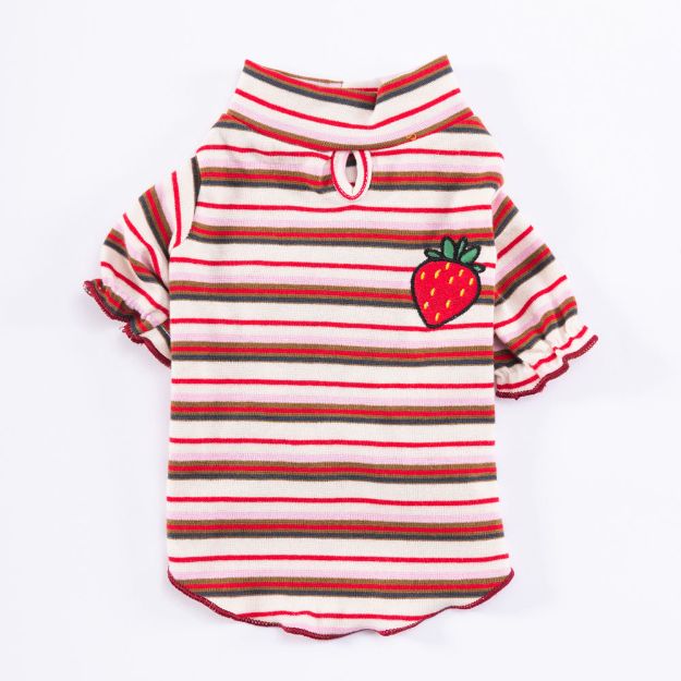 Picture of Pawstar Fragola Sweat 2XL